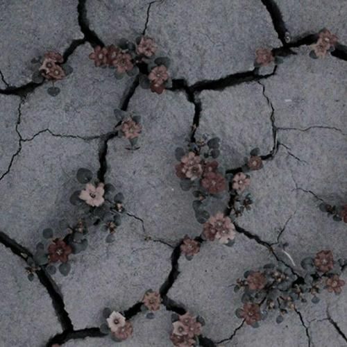 میگه نسل جدید و بستم دیگه اسمم تو پستاشون هشتگ میشه