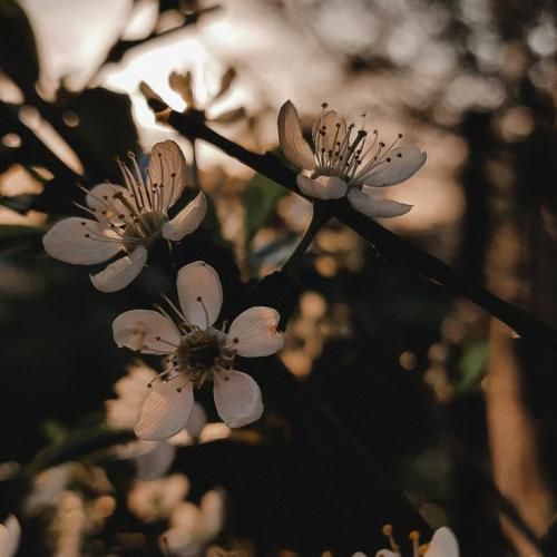  صدامو داری کردی منو ول منو ول دیگه خستم از خاطرات موندگارت