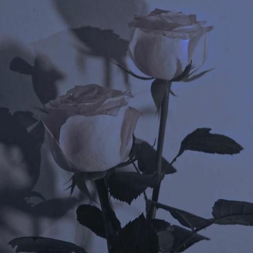  هه میدونی شوخی کردم من دوست دارم حتی اگه دوریم از هم