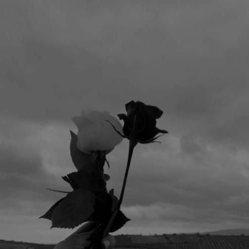  میریزه دل دیوونه اسمش عشقه با صدای پسر