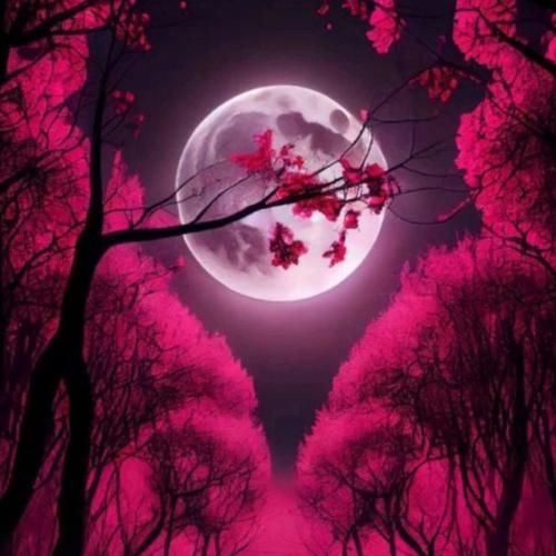  این شهر اونی نیست که بزرگ شدیم توش همرو میشناختیم