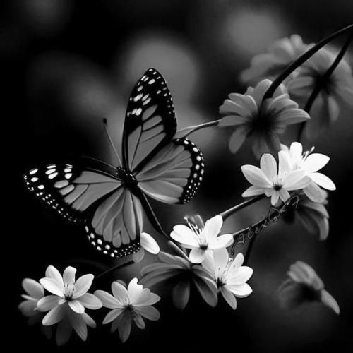  خارجی چند روزه که بیدارم پس ما فقط تو شب زندگی میکنیم