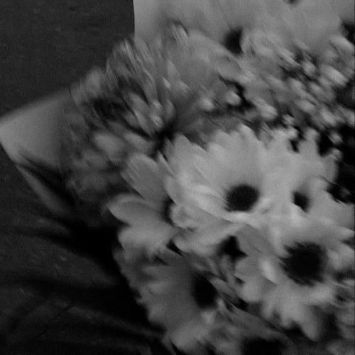 ترکیبمون با هم میشه بیبی باس ترند اینستایی