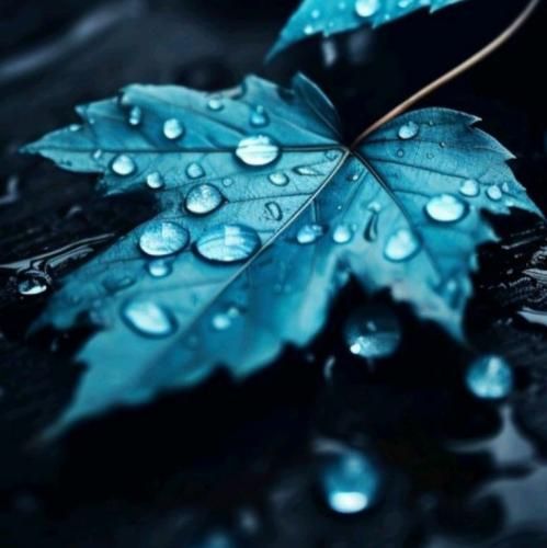 بودی پیشم صبح و شب دیدم تو رو من رفتی