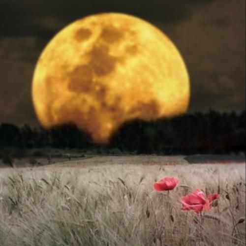  مورفینم شده عکسات دیگه حال و هوام غمه با صدای پسر