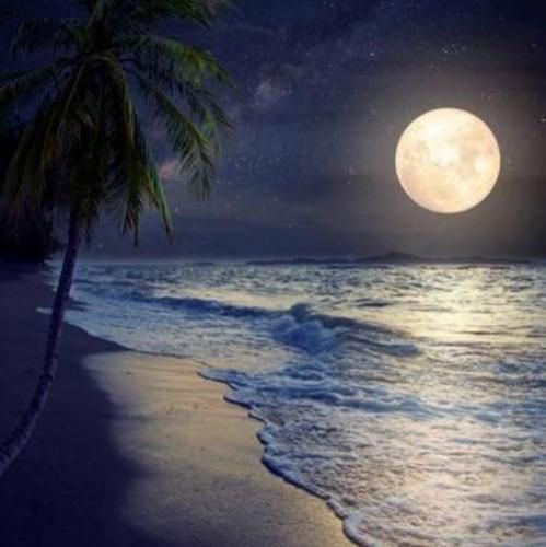 تیکه تیکه دیدم چجوری رفتی نفهمیدم ناراحت بودی