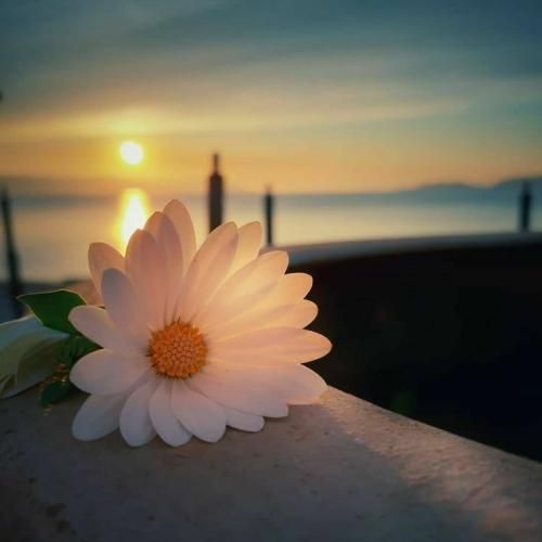  وقتی تو کنارمی قدمام میدن معنی