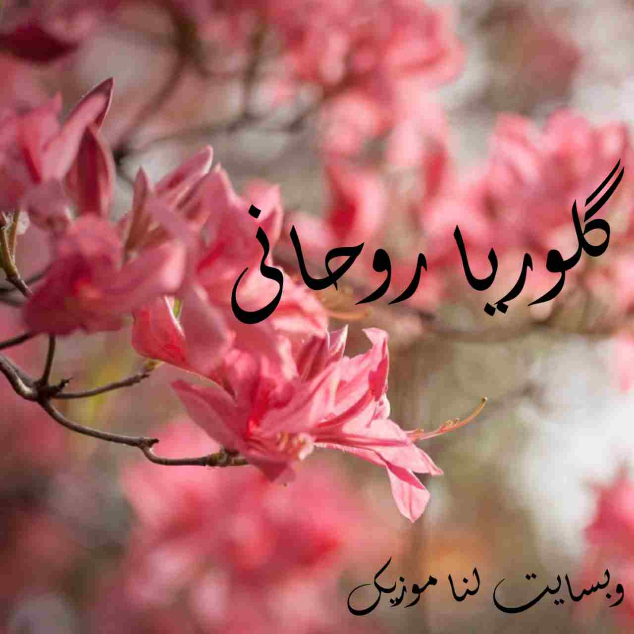 دانلود گلچین آهنگ های گلوریا روحانی + یکجا
