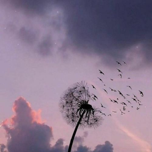  آسمون بدون بیبیم ابره بیا باز میچینم همرو از صفر