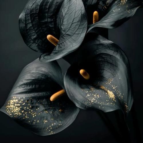  دلتنگه تهران تهران تهران نمیپره فیک باهام