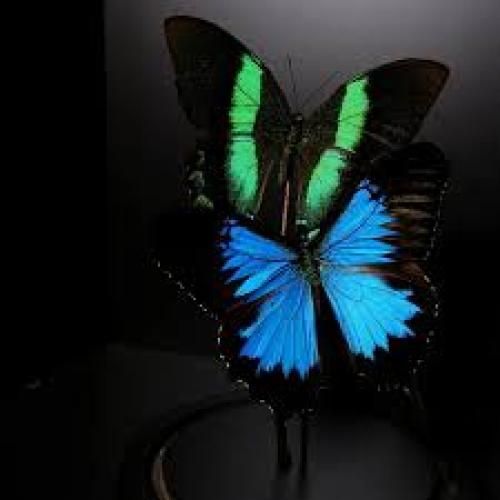 من دیوونه همه چی هنوز خوب یادمه به سر خودم آوردی هرچی