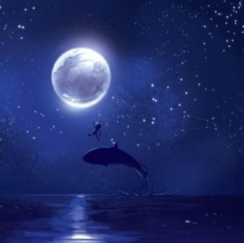  فکر نمیکردم اکسم شی بعد تو بشه نکستم کی