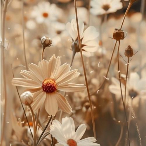 غم گرفته دوباره صدامو نم زده باز هوای چشامو صدای پسر