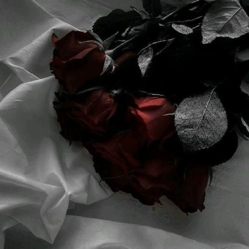 بگو تو این شبا دلت کجاس اگه که راه من جداس _ هوش مصنوعی