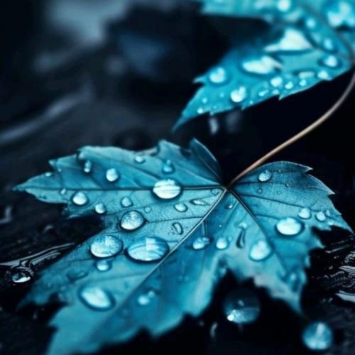 اسمم داره یادم میره چون تو صدام نمیکنی حالا که با صدای عقیلی