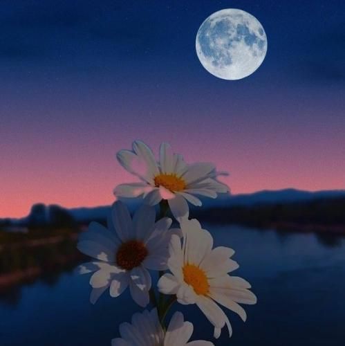 هنوز درگیرتم اون چشای مشکی نزار منو دور اگه