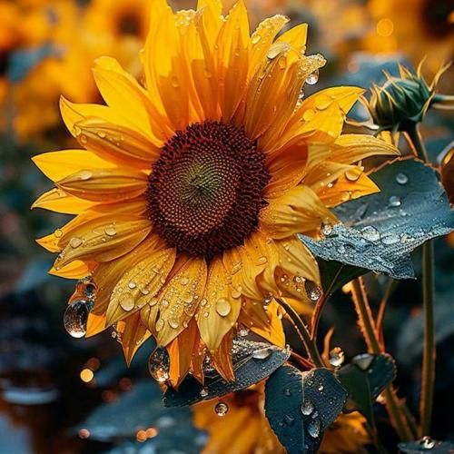 اومدی با چشمات دلم رو کردی غارت با صدای زن