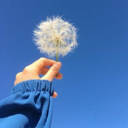 تو که زد پروانتم پر شده از هر جایی برگرد