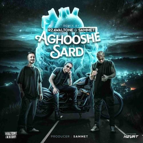 صامت آغوش سرد