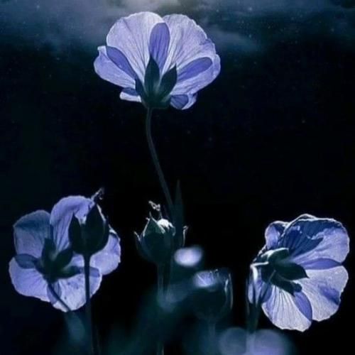 وقتی نگات رو منه اون روزای خوبمه