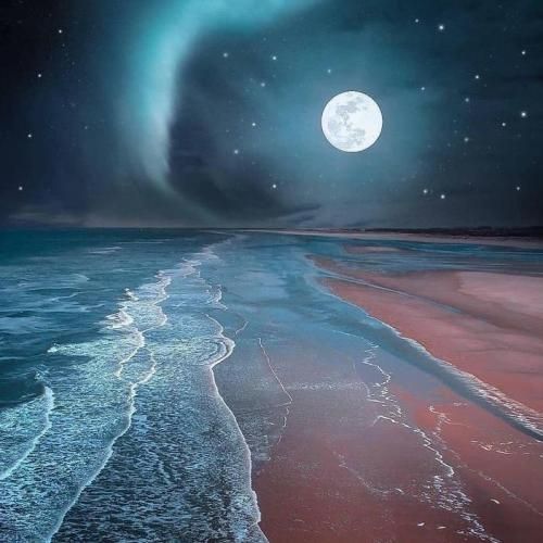 ترکی انگار تو هم فرو رفتی توی عمیق ترین نقطه ترند اینستایی