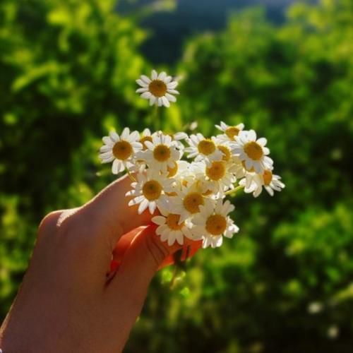 واسم تنهایی از هر چیزی بهتره