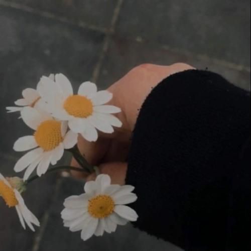  سیگار دیدم دستت سیگار کشیدم که ترک کنی