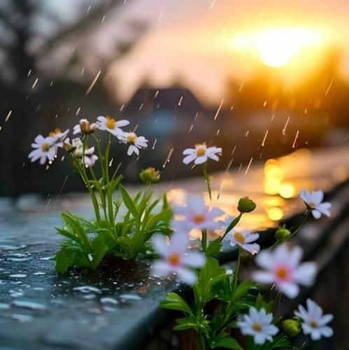  بعد تو انگار روزام بد تر شدن با صدای دختر اینستایی