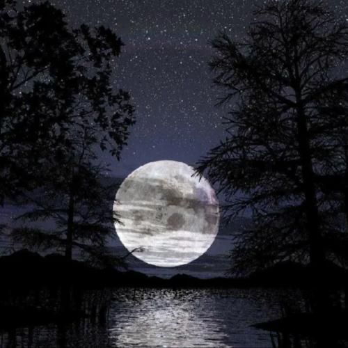  یکی دیگه بریز میخوام بریم باهم ترند اینستایی