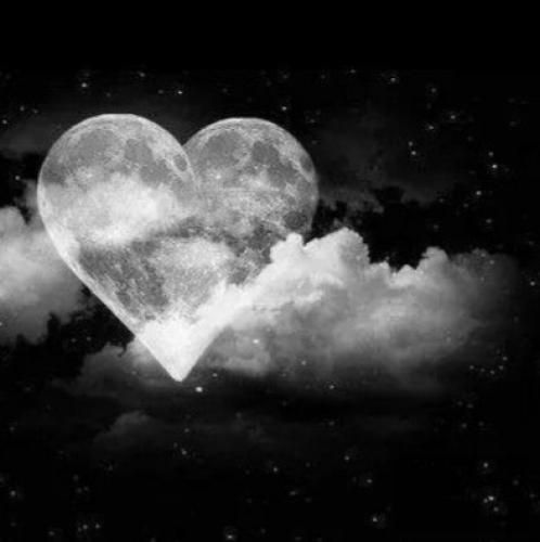  میشه روی مخم نری بگو چند ساعته پشت دری