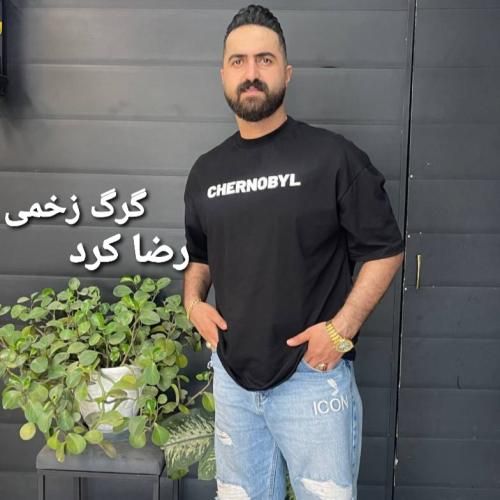 رضا کرد گرگ زخمی