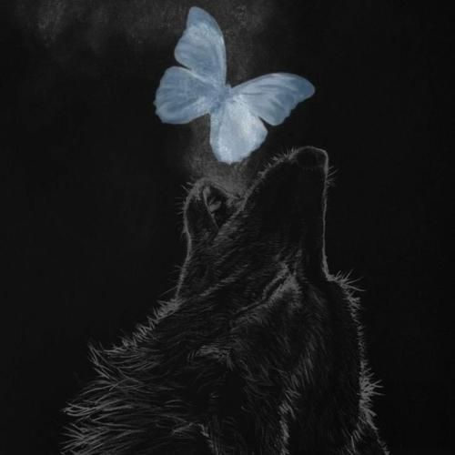 دنیا را بردی به همراهت به نابودی دنیا غم شد مگر تو ورژن گروهی