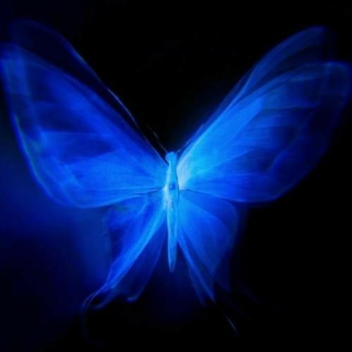  پلیس میکشه ببو ببو ولی نمیریم از رو از رو ترند اینستایی