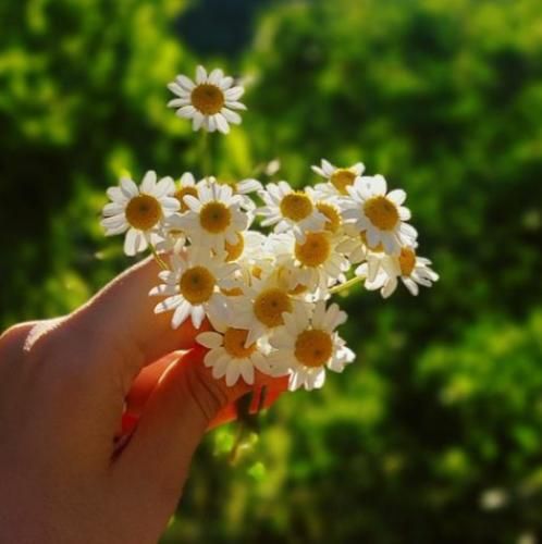 واژه رنگ زندگی بود وقتی تو فکر تو بودم