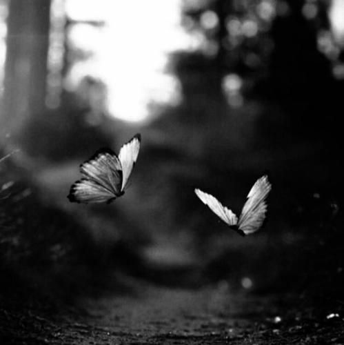 نه نای موندن هست نه پای رفتن نه چیزی دیگه میکس ترکیه ای