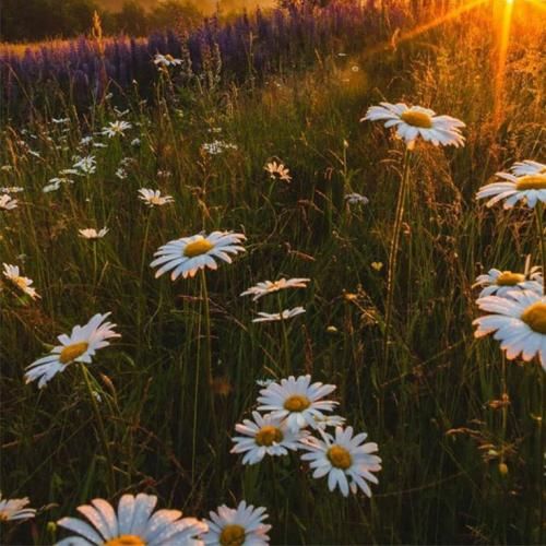  ما نه با همیم نه بی هم به تو به کسی نمیگم