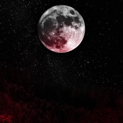 ببخش منو عزیزم اندازه ی قلب تو نیستم