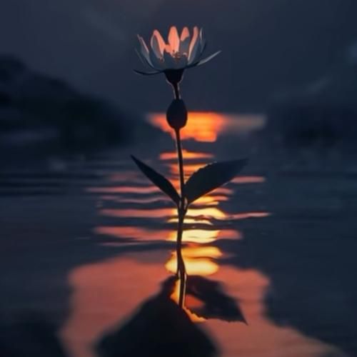  تنهای بی سنگ صبور خونه ی سردو سوت و کور با صدای دختر اینستایی