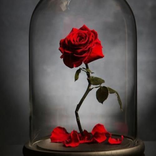 بالا سرمونه ماه کامل لب دریا شن زیرت طوفان میشه