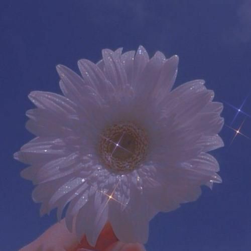  کی با یه جمله مثل من می‌تونه آرومت کنه با صدای دختر اینستایی