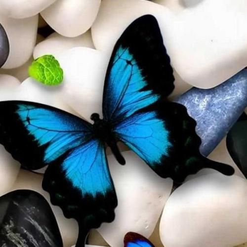 من از دوری تو ضربه خوردم معلومه از نگام هوش مصنوعی