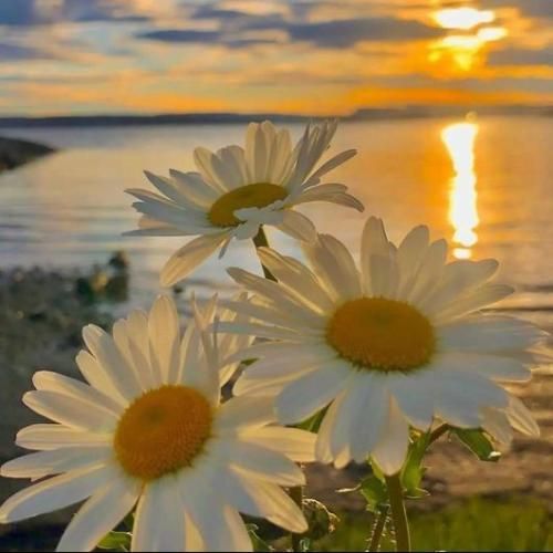 با اینکه شدی دیگه اکسم ولی هر روز میکنی سرچم با صدای دختر