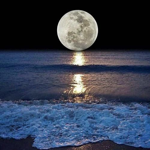 خارجی عزیزم حس میکنم ازم دوری بهم بگو کجایی ترند اینستایی