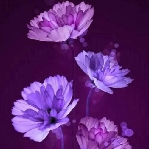 هر شب ستاره بارون میکنی آسمون دنیامو با صدای زن