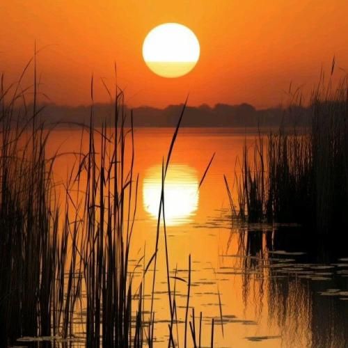  چه کنم چیکار کنم تو منو نشناختی تو ببین به کی ورژن گروهی