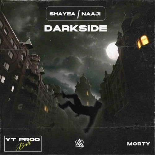 دارک ریمیکس دارک ساید