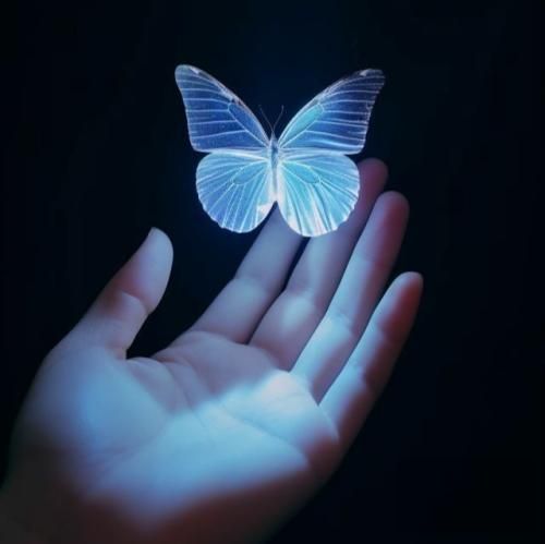  سر جنگ داری بام هر سری هی