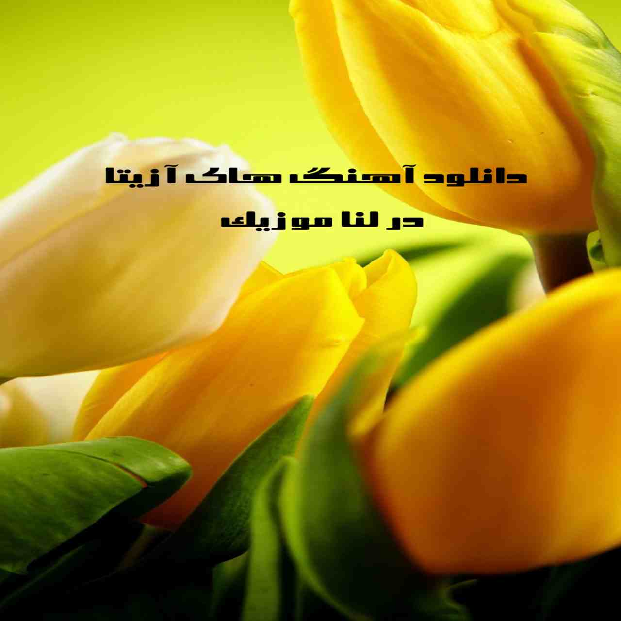 دانلود تکی و یکجا آهنگ های آزیتا (قدیمی)