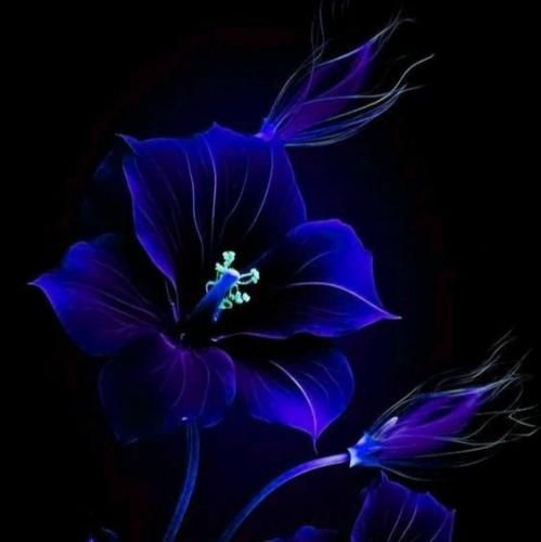  فکر نمیکردم انقد خر باشی قلبمو پس بدی