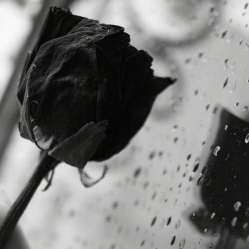  فک کنم دیگه باید سیگاری شم به ریه هام نگو کدر